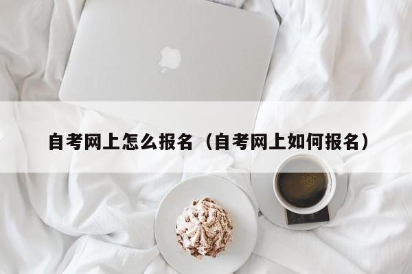 自考网上怎么报名（自考网上如何报名）