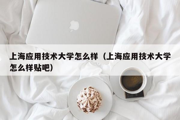 上海应用技术大学怎么样（上海应用技术大学怎么样贴吧）