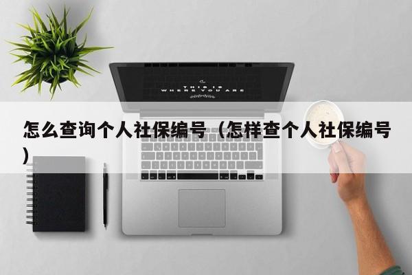 怎么查询个人社保编号（怎样查个人社保编号）