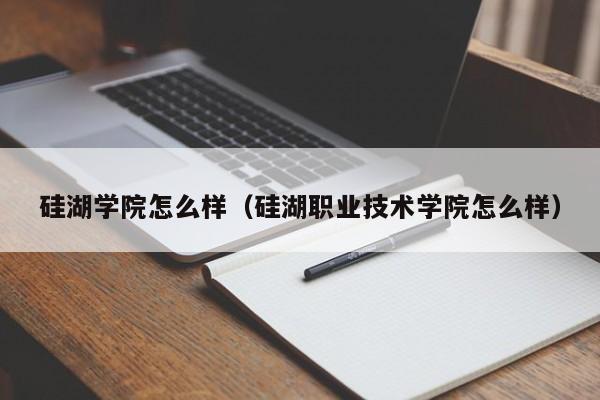 硅湖学院怎么样（硅湖职业技术学院怎么样）