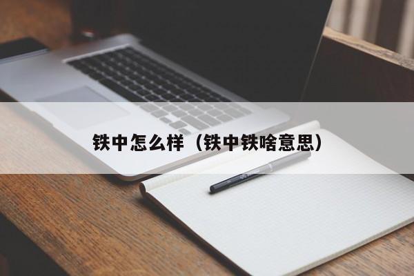 铁中怎么样（铁中铁啥意思）