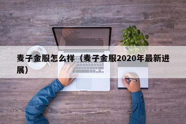 麦子金服怎么样（麦子金服2020年最新进展）